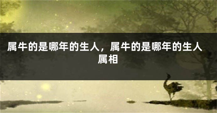 属牛的是哪年的生人，属牛的是哪年的生人属相