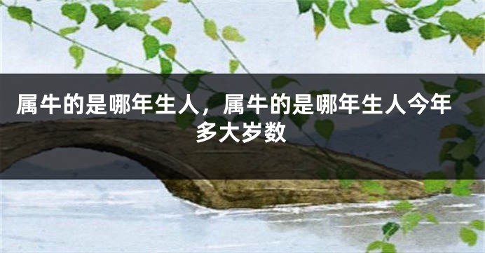 属牛的是哪年生人，属牛的是哪年生人今年多大岁数
