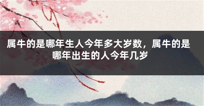 属牛的是哪年生人今年多大岁数，属牛的是哪年出生的人今年几岁