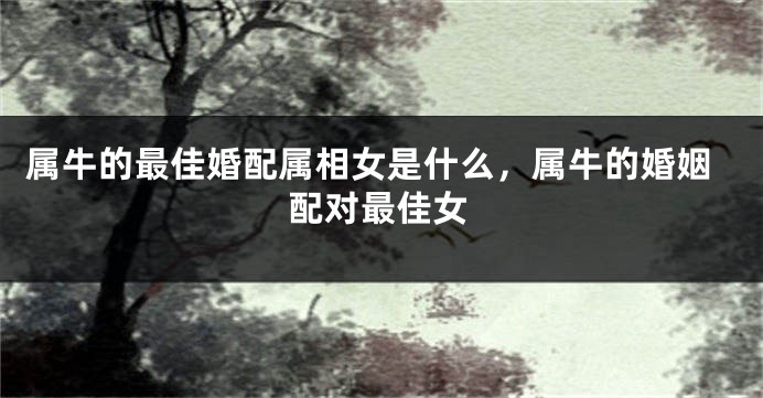 属牛的最佳婚配属相女是什么，属牛的婚姻配对最佳女