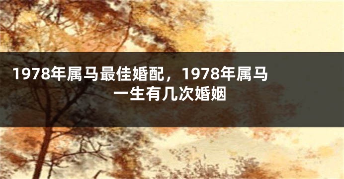 1978年属马最佳婚配，1978年属马一生有几次婚姻