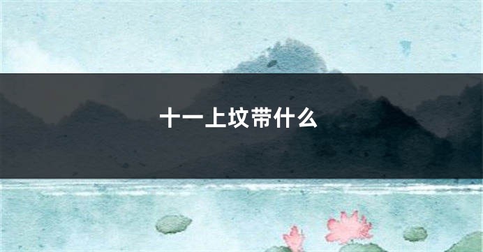 十一上坟带什么