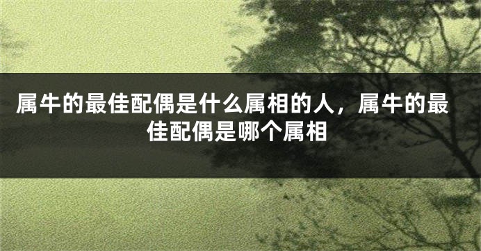 属牛的最佳配偶是什么属相的人，属牛的最佳配偶是哪个属相