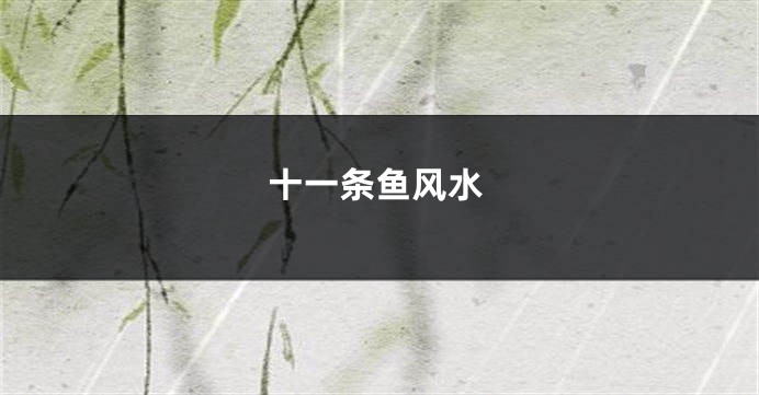十一条鱼风水