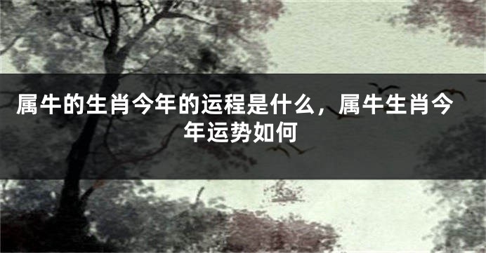 属牛的生肖今年的运程是什么，属牛生肖今年运势如何