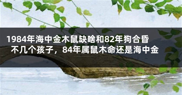 1984年海中金木鼠缺啥和82年狗合昏不几个孩子，84年属鼠木命还是海中金