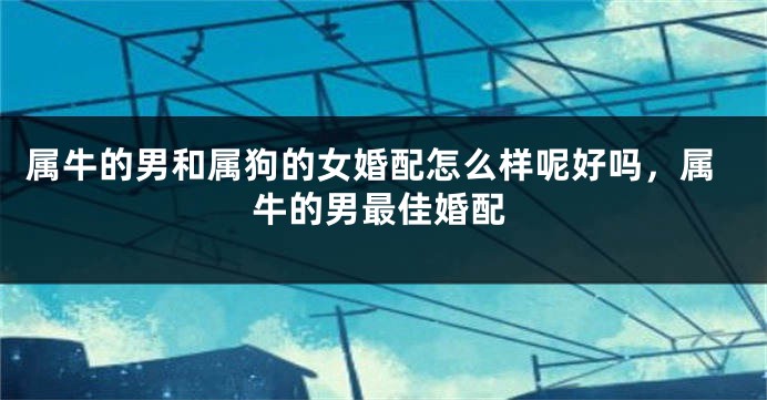 属牛的男和属狗的女婚配怎么样呢好吗，属牛的男最佳婚配