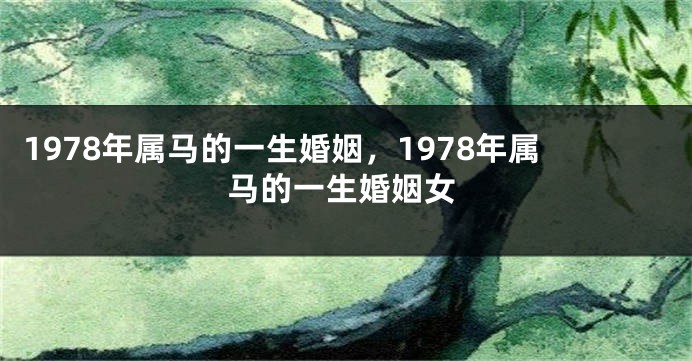 1978年属马的一生婚姻，1978年属马的一生婚姻女