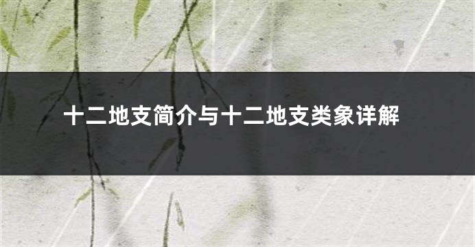 十二地支简介与十二地支类象详解