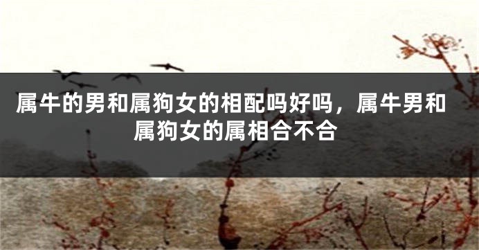 属牛的男和属狗女的相配吗好吗，属牛男和属狗女的属相合不合
