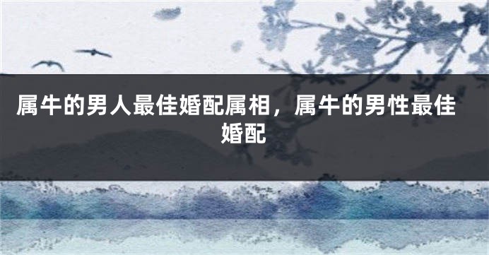 属牛的男人最佳婚配属相，属牛的男性最佳婚配