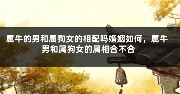 属牛的男和属狗女的相配吗婚姻如何，属牛男和属狗女的属相合不合