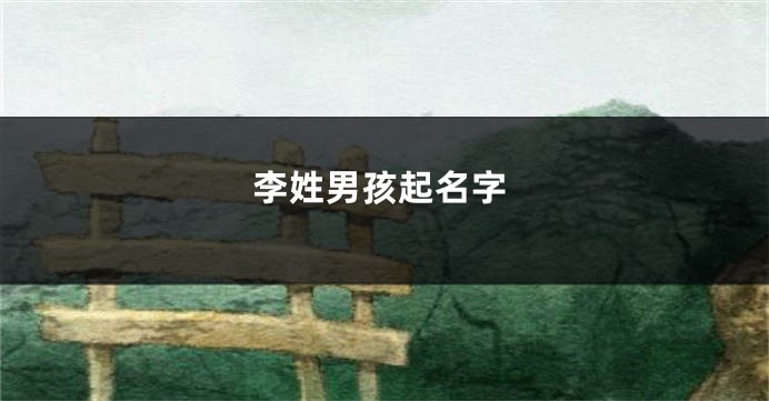李姓男孩起名字