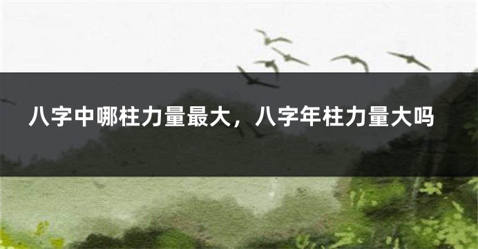 八字中哪柱力量最大,八字年柱力量大吗