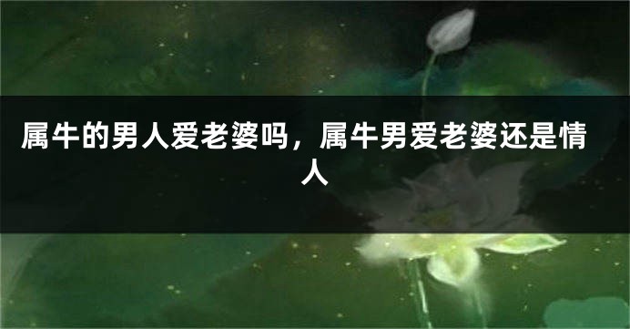 属牛的男人爱老婆吗，属牛男爱老婆还是情人