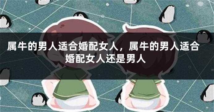 属牛的男人适合婚配女人，属牛的男人适合婚配女人还是男人