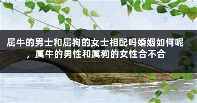 属牛的男士和属狗的女士相配吗婚姻如何呢，属牛的男性和属狗的女性合不合