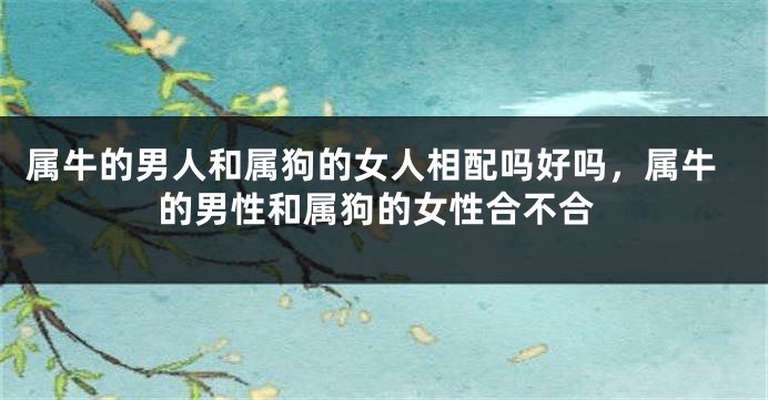 属牛的男人和属狗的女人相配吗好吗，属牛的男性和属狗的女性合不合