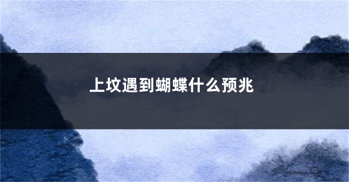 上坟遇到蝴蝶什么预兆