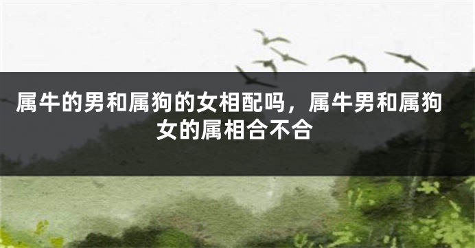 属牛的男和属狗的女相配吗，属牛男和属狗女的属相合不合