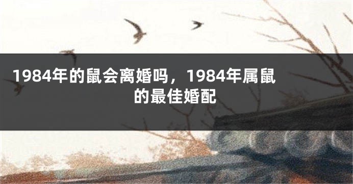1984年的鼠会离婚吗，1984年属鼠的最佳婚配