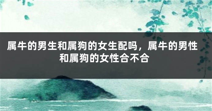 属牛的男生和属狗的女生配吗，属牛的男性和属狗的女性合不合