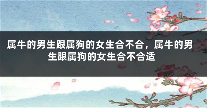 属牛的男生跟属狗的女生合不合，属牛的男生跟属狗的女生合不合适