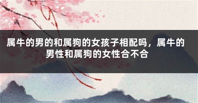 属牛的男的和属狗的女孩子相配吗，属牛的男性和属狗的女性合不合