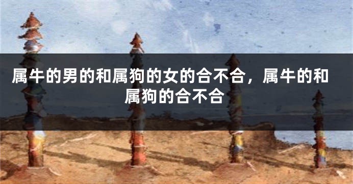 属牛的男的和属狗的女的合不合，属牛的和属狗的合不合
