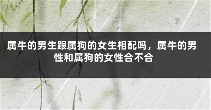 属牛的男生跟属狗的女生相配吗，属牛的男性和属狗的女性合不合