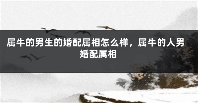 属牛的男生的婚配属相怎么样，属牛的人男婚配属相