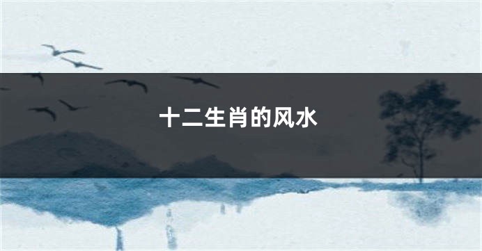 十二生肖的风水