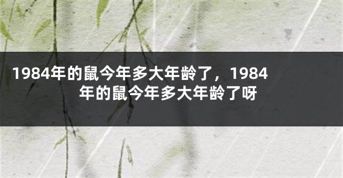1984年的鼠今年多大年龄了，1984年的鼠今年多大年龄了呀