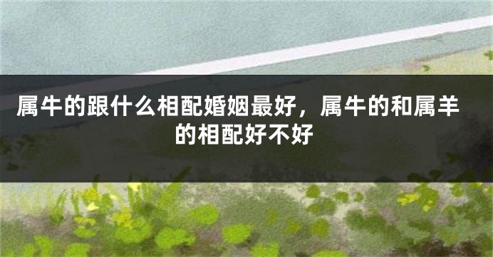 属牛的跟什么相配婚姻最好，属牛的和属羊的相配好不好
