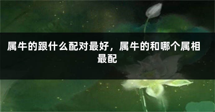 属牛的跟什么配对最好，属牛的和哪个属相最配