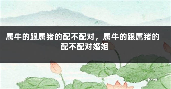 属牛的跟属猪的配不配对，属牛的跟属猪的配不配对婚姻