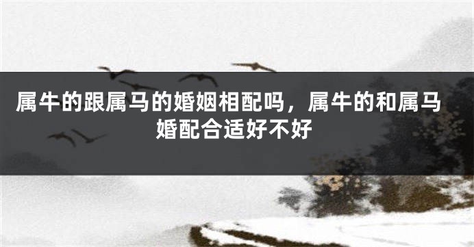 属牛的跟属马的婚姻相配吗，属牛的和属马婚配合适好不好