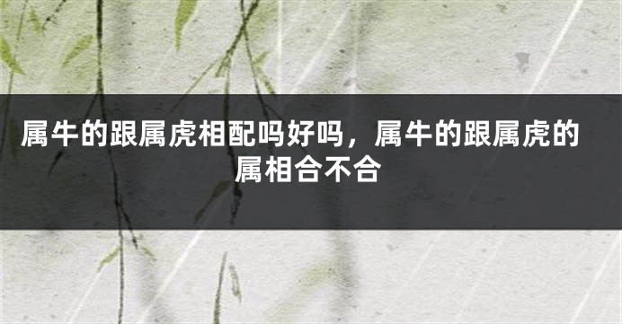 属牛的跟属虎相配吗好吗，属牛的跟属虎的属相合不合