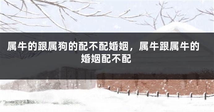 属牛的跟属狗的配不配婚姻，属牛跟属牛的婚姻配不配