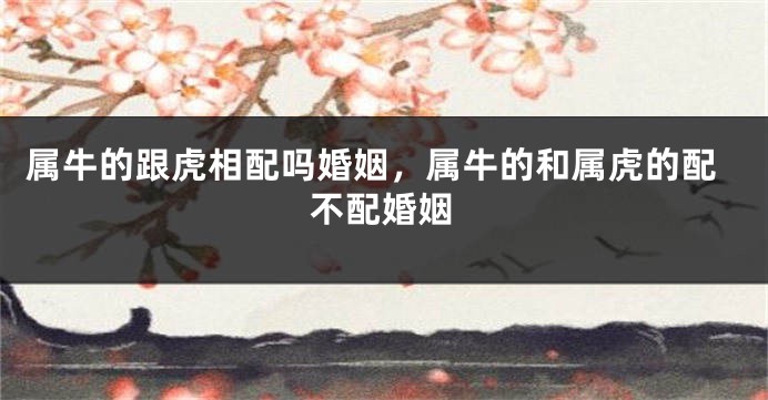 属牛的跟虎相配吗婚姻，属牛的和属虎的配不配婚姻