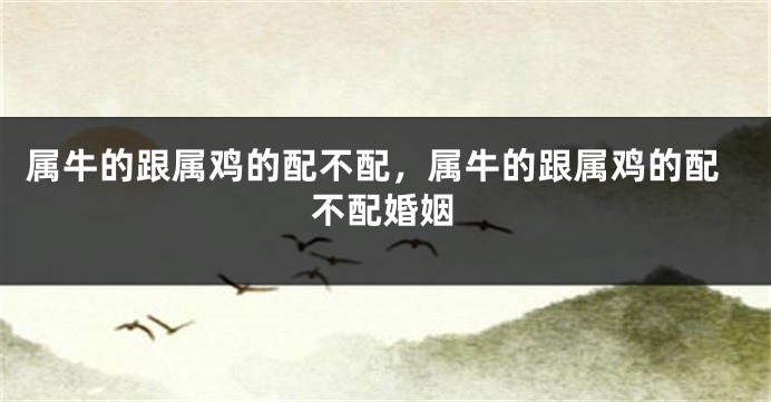 属牛的跟属鸡的配不配，属牛的跟属鸡的配不配婚姻
