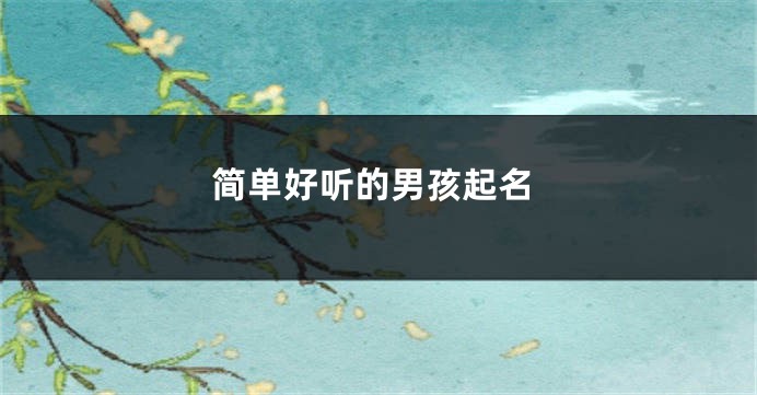 简单好听的男孩起名