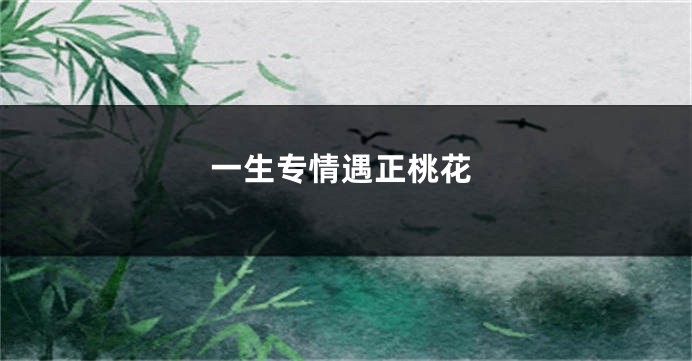 一生专情遇正桃花