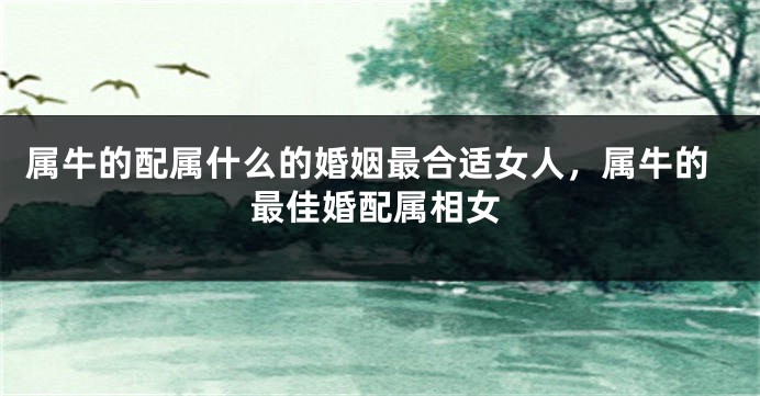 属牛的配属什么的婚姻最合适女人，属牛的最佳婚配属相女