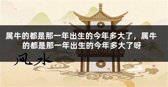 属牛的都是那一年出生的今年多大了，属牛的都是那一年出生的今年多大了呀