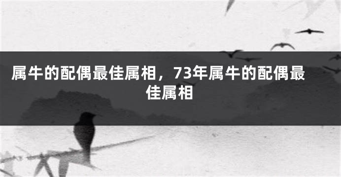 属牛的配偶最佳属相，73年属牛的配偶最佳属相