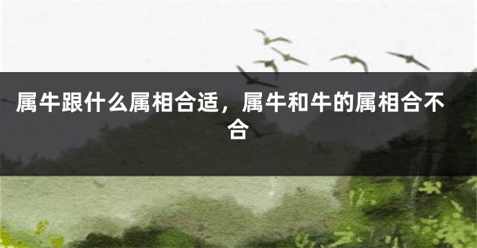 属牛跟什么属相合适，属牛和牛的属相合不合