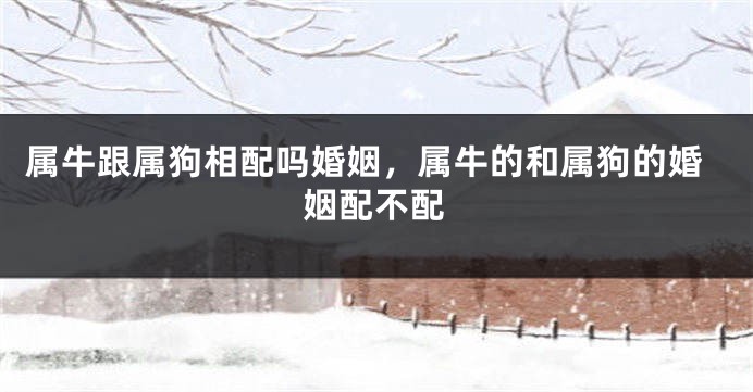 属牛跟属狗相配吗婚姻，属牛的和属狗的婚姻配不配