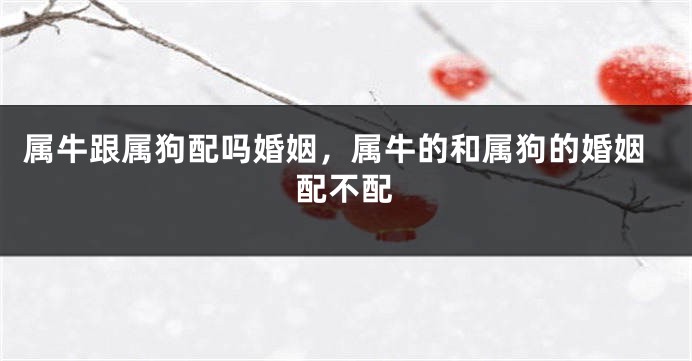 属牛跟属狗配吗婚姻，属牛的和属狗的婚姻配不配