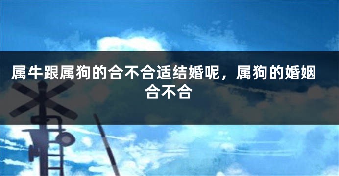 属牛跟属狗的合不合适结婚呢，属狗的婚姻合不合